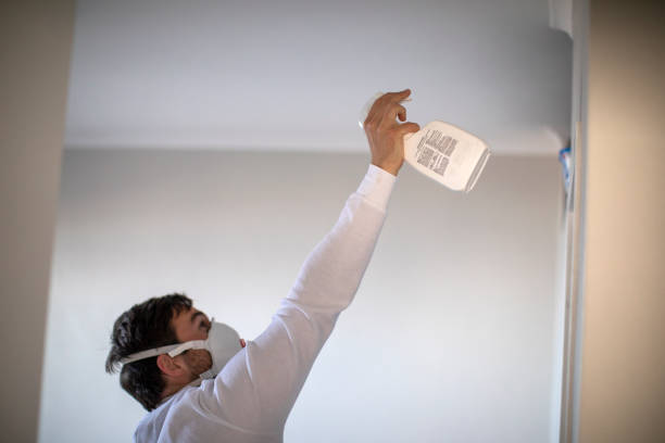 Reliable Mansfield, LA Mold Removal Solutions