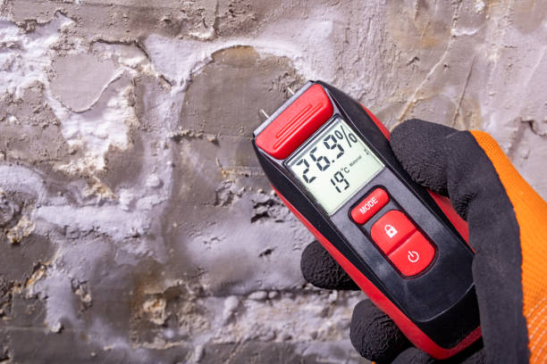 Best Office Mold Removal Services  in Mansfield, LA