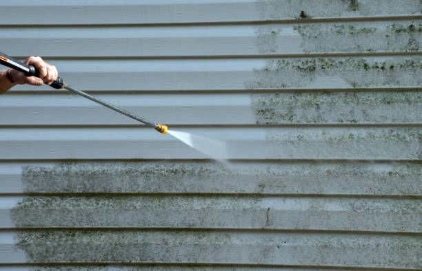 Best Fast Mold Removal  in Mansfield, LA