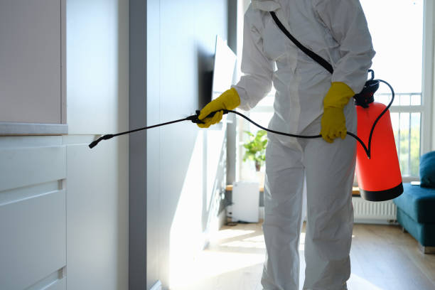 Best Home Mold Removal  in Mansfield, LA