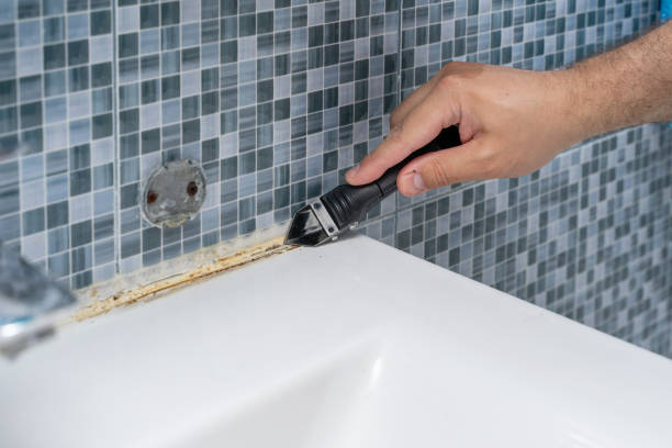 Best Mold Removal and Inspection  in Mansfield, LA